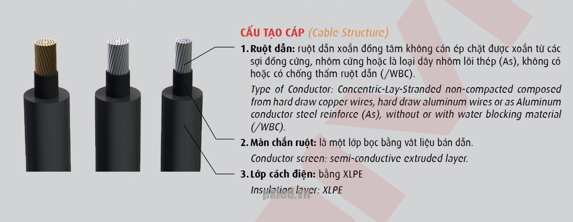Hình cấu trúc dây cáp Cadivi AsXV